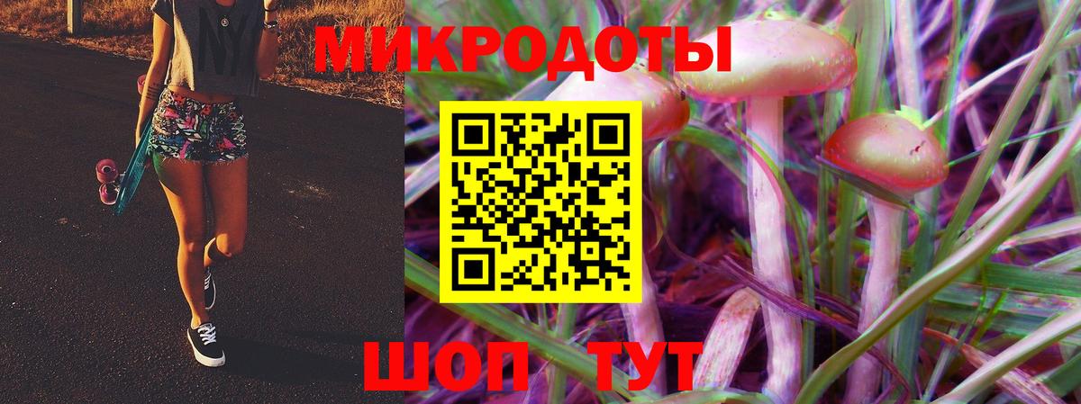Псилоцибиновые грибы Psilocybine cubensis  Вход с VPN  закладки  Уварово 